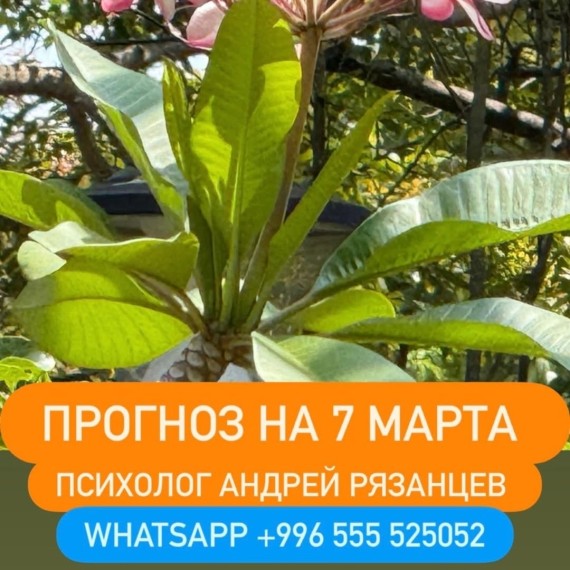 Гороскоп для всех знаков зодиака на 7 марта 2026 года от Андрея Рязанцева