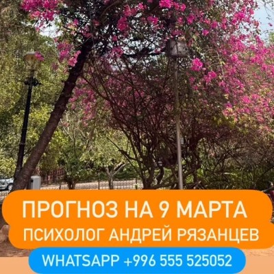 Гороскоп для всех знаков зодиака на 9 марта 2026 года от Андрея Рязанцева