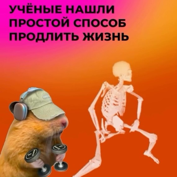 Ученые нашли способ продлить жизнь