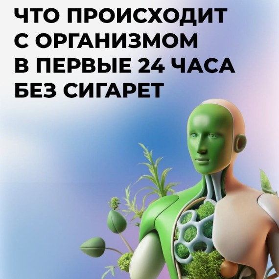 Что происходит с организмом в первые 24 часа без сигарет?