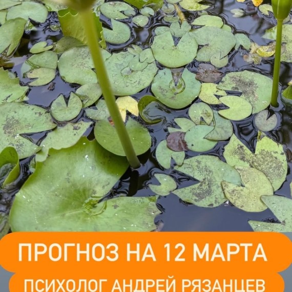 Гороскоп для всех знаков зодиака на 12 марта 2026 года от Андрея Рязанцева