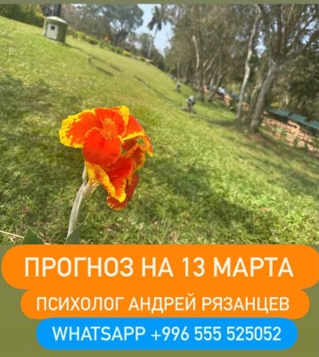 Гороскоп для всех знаков зодиака на 13 марта 2026 года от Андрея Рязанцева