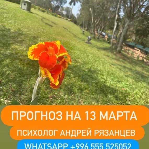 Гороскоп для всех знаков зодиака на 13 марта 2026 года от Андрея Рязанцева