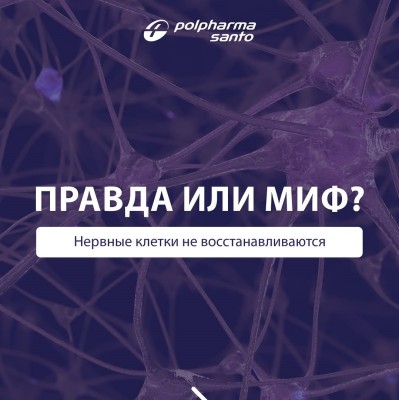 Правда ли, что нервные клетки не восстанавливаются?