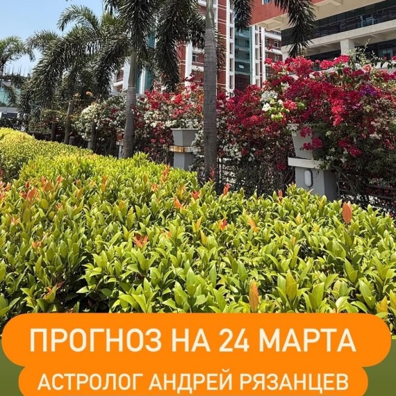 Гороскоп для всех знаков зодиака на 24 марта 2026 года от Андрея Рязанцева