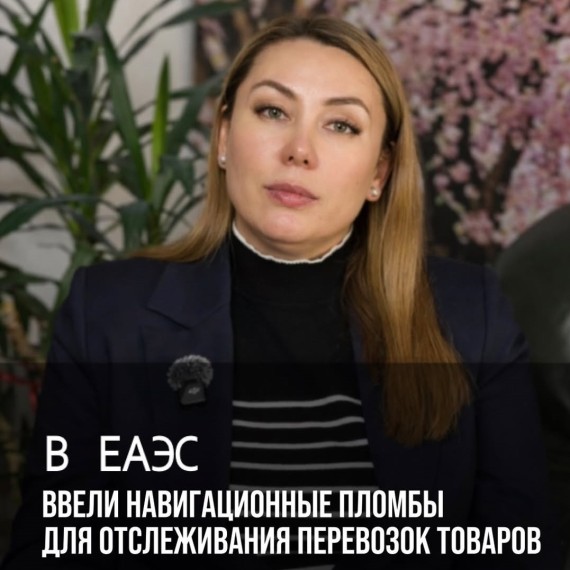 Новый механизм отслеживания перевозок в ЕАЭС: навигационные пломбы вступили в силу
