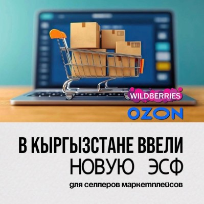 В КР ввели новую ЭСФ для селлеров маркетплейсов