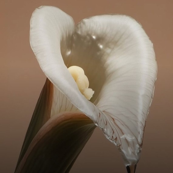 О чем может говорить неприятный запах 