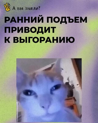 Ранний подъем приводит к выгоранию