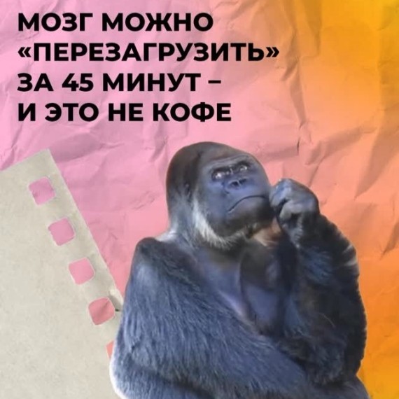 Мозг можно перезагрузить за 45 минут, и это не кофе!