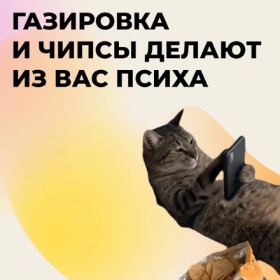 Газировка и чипсы делают из вас психа