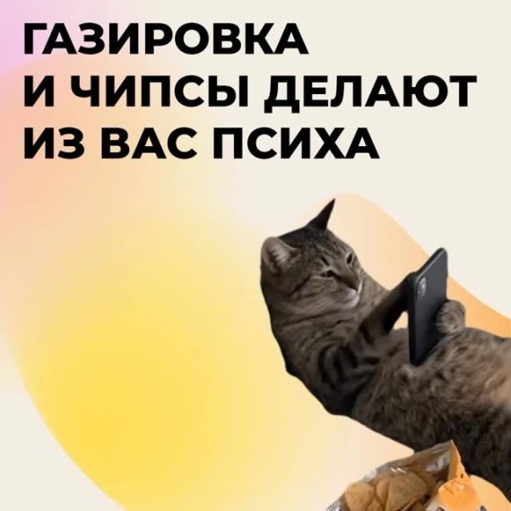 Газировка и чипсы делают из вас психа