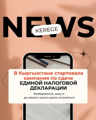 Кампания по сдаче единой налоговой декларации в Кыргызстане