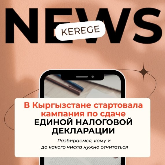 Кампания по сдаче единой налоговой декларации в Кыргызстане