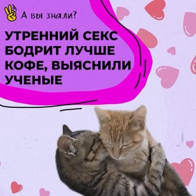 Утренний секс бодрит лучше кофе