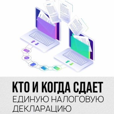 Кто и когда сдает единую налоговую декларацию?