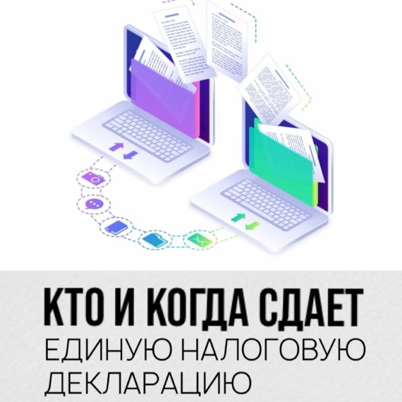 Кто и когда сдает единую налоговую декларацию?