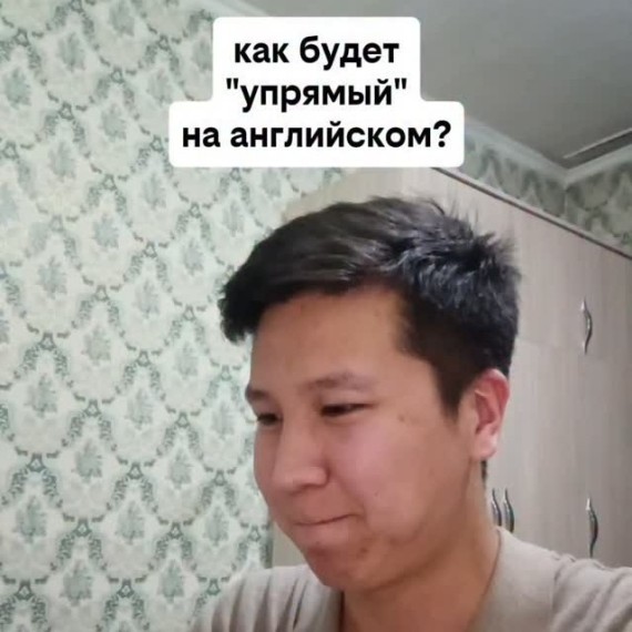 Как будет "упрямый" на английском языке?
