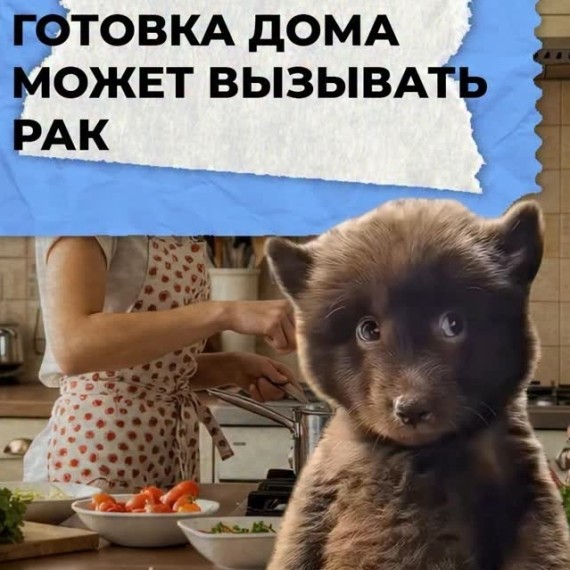 Готовка дома может вызвать рак