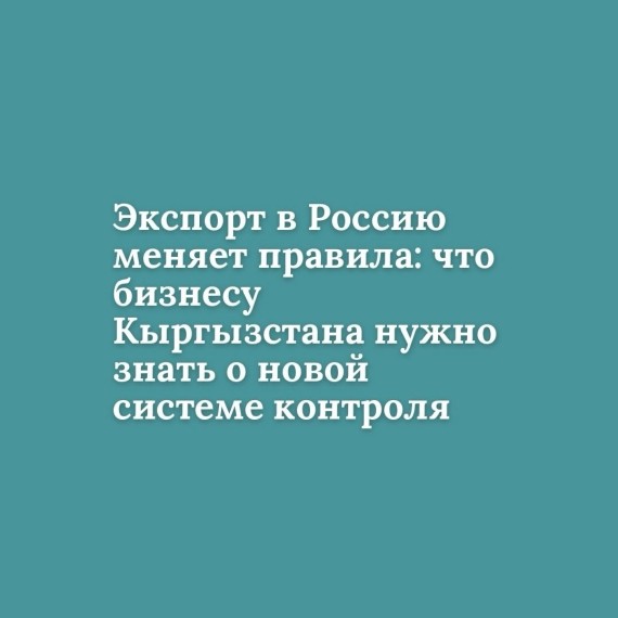 Экспорт в Россию меняет правила: что бизнесу Кыргызстана нужно знать о новой системе контроля