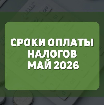 Сроки оплаты налогов май 2026
