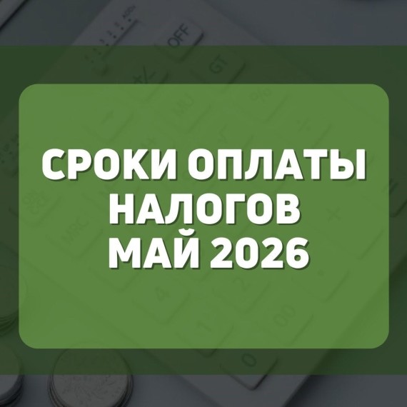 Сроки оплаты налогов май 2026