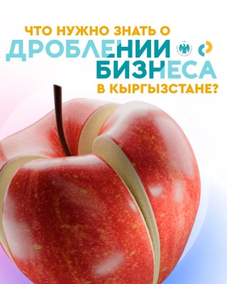 Что нужно знать о дроблении бизнеса в Кыргызстане?