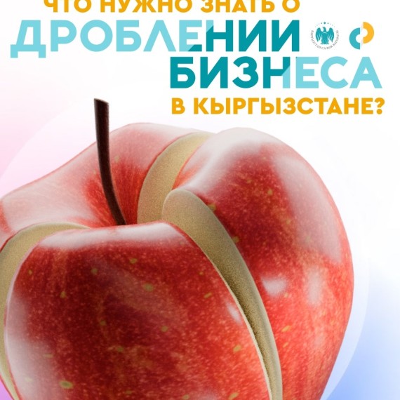 Что нужно знать о дроблении бизнеса в Кыргызстане?