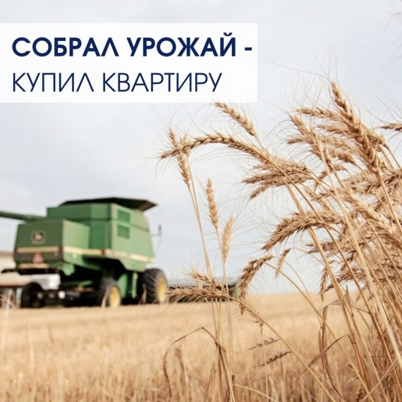 Влияет ли сбор урожая на подъем цен осенью