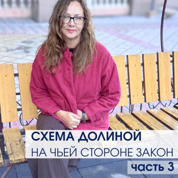 Схема Долиной. На чьей стороне закон? Часть 3
