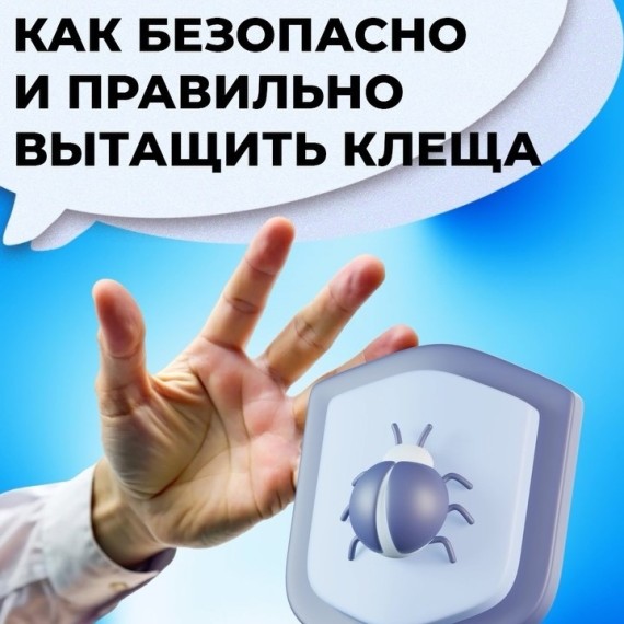 Как правильно и безопасно вытащить клеща?
