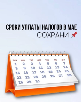 Сроки уплаты налогов в мае
