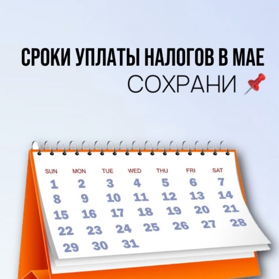 Сроки уплаты налогов в мае