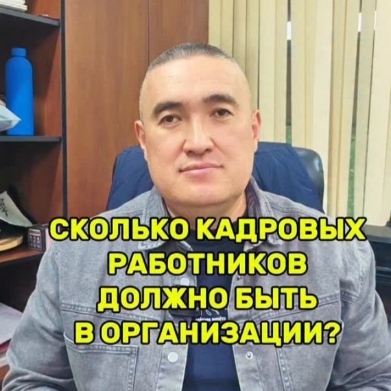 Сколько кадровых работников должно быть в организации?