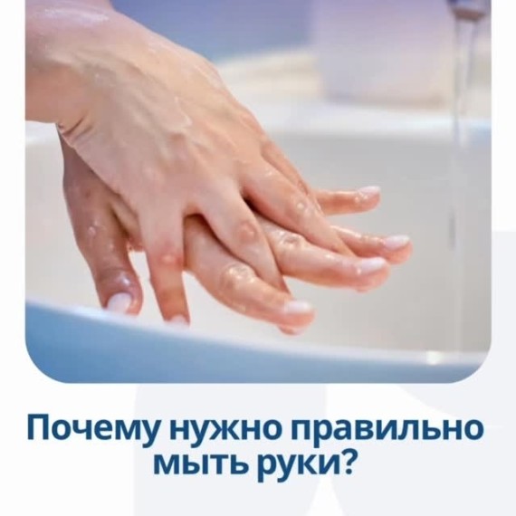 Почему нужно правильно мыть руки?