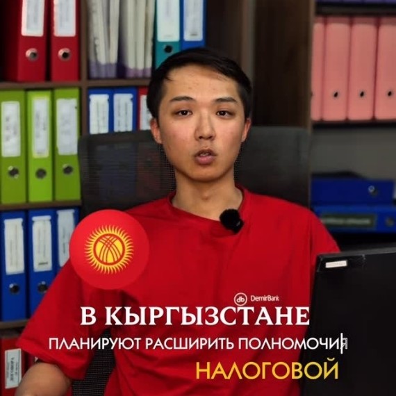 В Кыргызстане планируют расширить полномочия налоговой