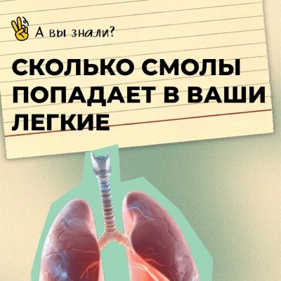 Сколько смолы попадает в наши легкие?