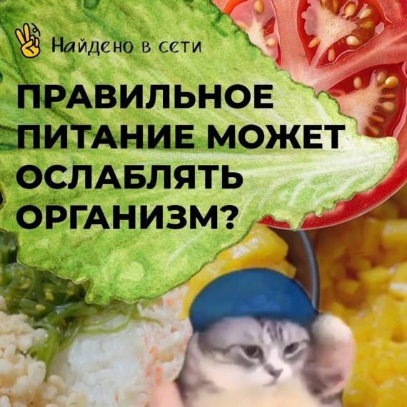 Правильное питание может ослаблять организм?