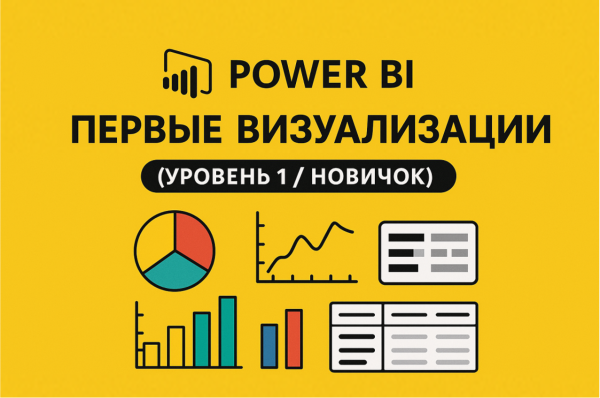 Power BI: Первые визуализации (Уровень 1 / Новичок)