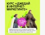 Летняя распродажа от Пекло школы: курс “Джедай в интернет маркетинге" со скидкой 50%