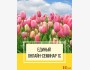  Единый онлайн-семинар по 1С
