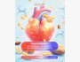 Старение человека, причины и механизмы | Клуб долголетия ololo 