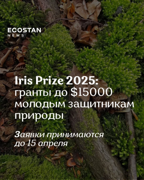 Iris Prize 2025: гранты до $15000 молодым защитникам природы