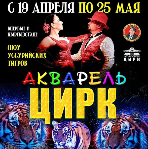 Цирк Никулина в Бишкеке: шоу «Акварель» — магия, которую нельзя пропустить!