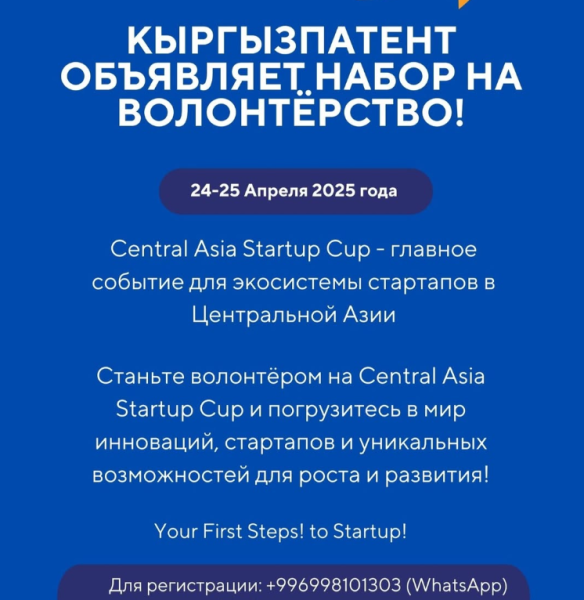Central Asia Startup Cup: набор на волонтерство