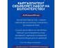 Central Asia Startup Cup: набор на волонтерство