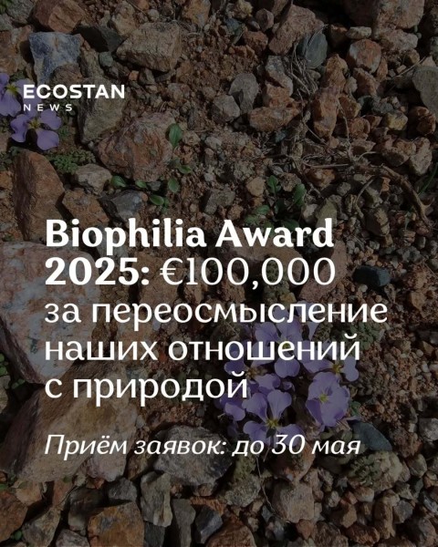 Приём заявок на Biophilia Award 2025: переосмысление наших отношений с природой