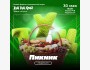Туц Туц Quiz: Пикник┃Бишкек 30.05.2025