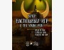 Вечер настольных игр: игротека в Viking Pub┃Бишкек 28.05.2025