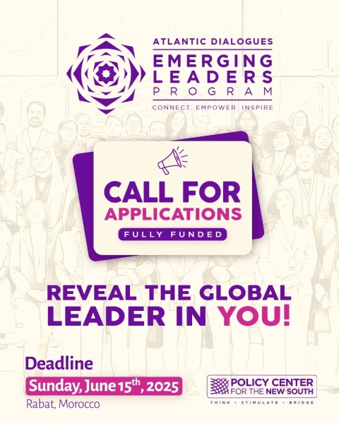 Программа Atlantic Dialogues Emerging Leaders Program 2025